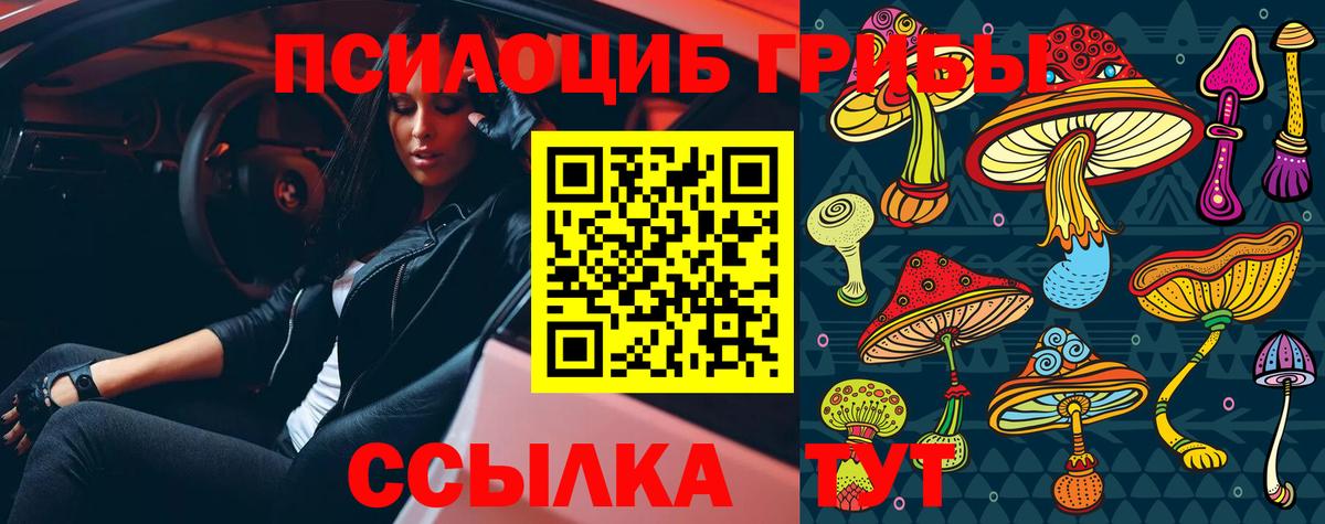 Зеленодольск  Псилоцибиновые грибы мухоморы  Вход с VPN 